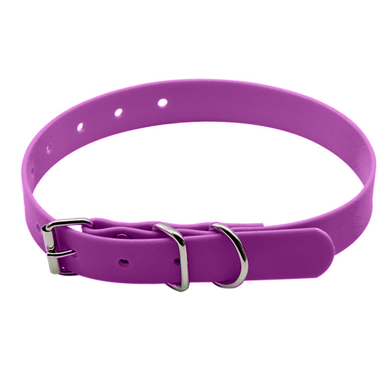 lilac purple