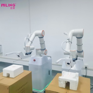 Robot de Punto Fijo personalizado de fábrica Posicionamiento preciso Sistema de estabilización de imagen inteligente Robots colaborativos - Product Image 3