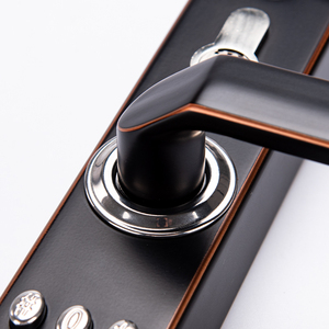 Bán buôn Nhà máy cung cấp hai mặt chống gỉ BIỆT THỰ VƯỜN kết hợp cơ khí mật khẩu khóa cửa Cấu hình cơ thể khóa 3085 - Product Image 5