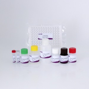 <span class=keywords><strong>Kit</strong></span> de <span class=keywords><strong>test</strong></span> d'anticorps cELISA de type 2 (<span class=keywords><strong>PCV2</strong></span>) <span class=keywords><strong>Circovirus</strong></span> porcin-Haute sensibilité et spécificité pour les diagnostics vétérinaires - Product Image 2