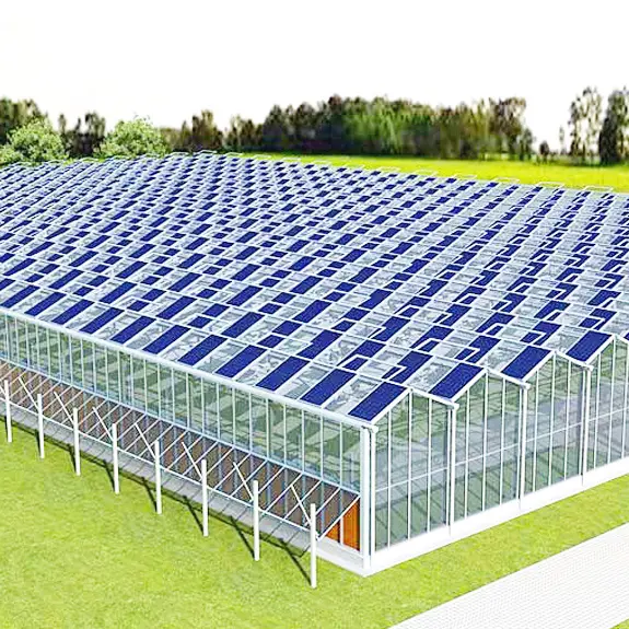 Invernadero agrícola multispan Tropical Solar hidropónico, invernadero de flores para cultivo de verduras, estructura estable de vidrio