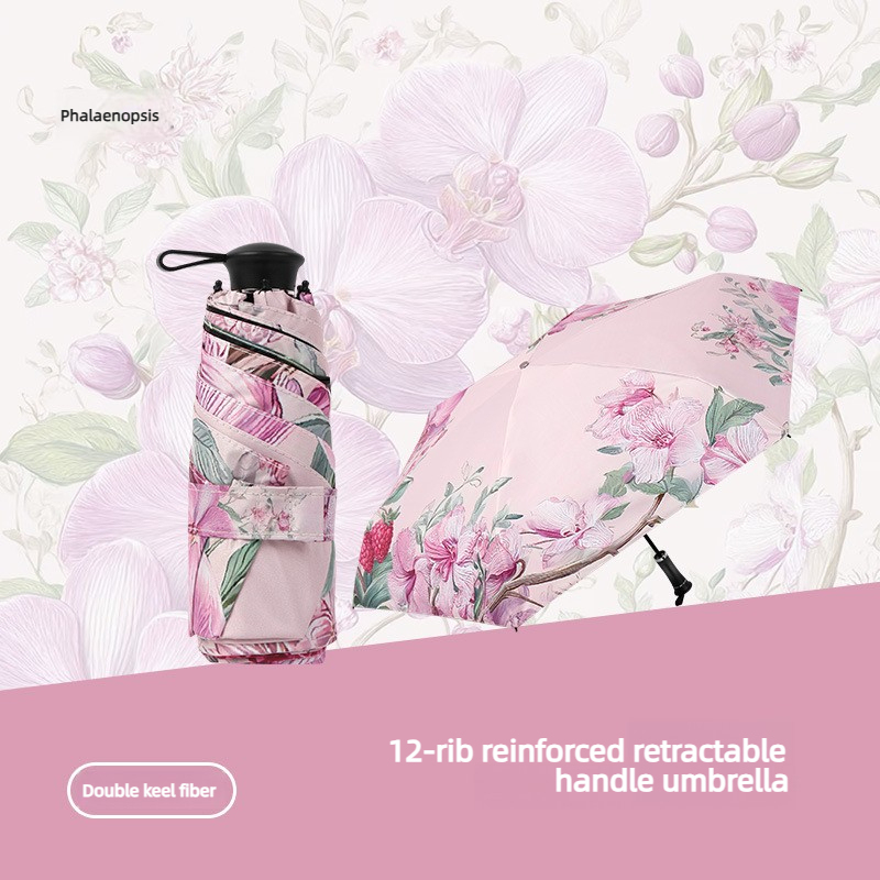 Phalaenopsis