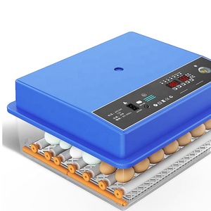 Con lăn khay trứng lồng ấp 16 huevos hoàn toàn tự động 12V & 220V cho gà vịt ngỗng chim cút trong bỉ thị trường - Product Image 3