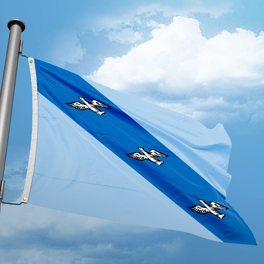Kursk City Flag