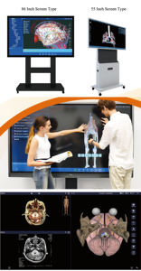 <strong>Human</strong> Virtual Anatomage 3D Anatomy Table Digital <strong>Human</strong> Body Virtual Autopsy Dissection Table for School - Product Image 5