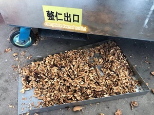 Edelstahl 3-stufige Trennung Getrocknete Walnuss schalen-und Kernel trenn maschine Pekan nüsse Entfernen Sie die Shell Picking Kernel Machine - Product Image 4