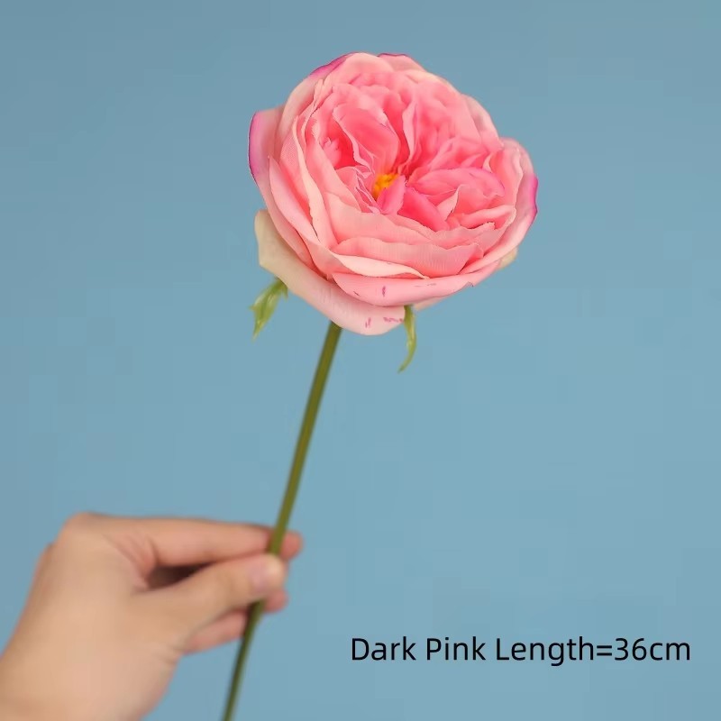 Rose foncé