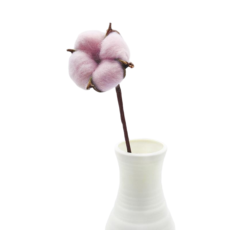 Cherry Blossom Pink