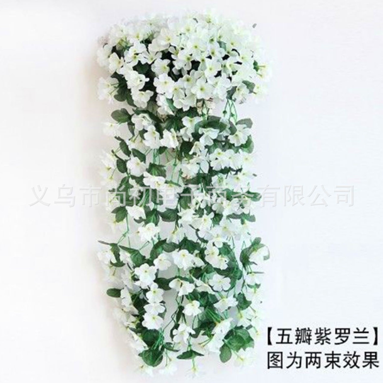 Five-petaled large violet white