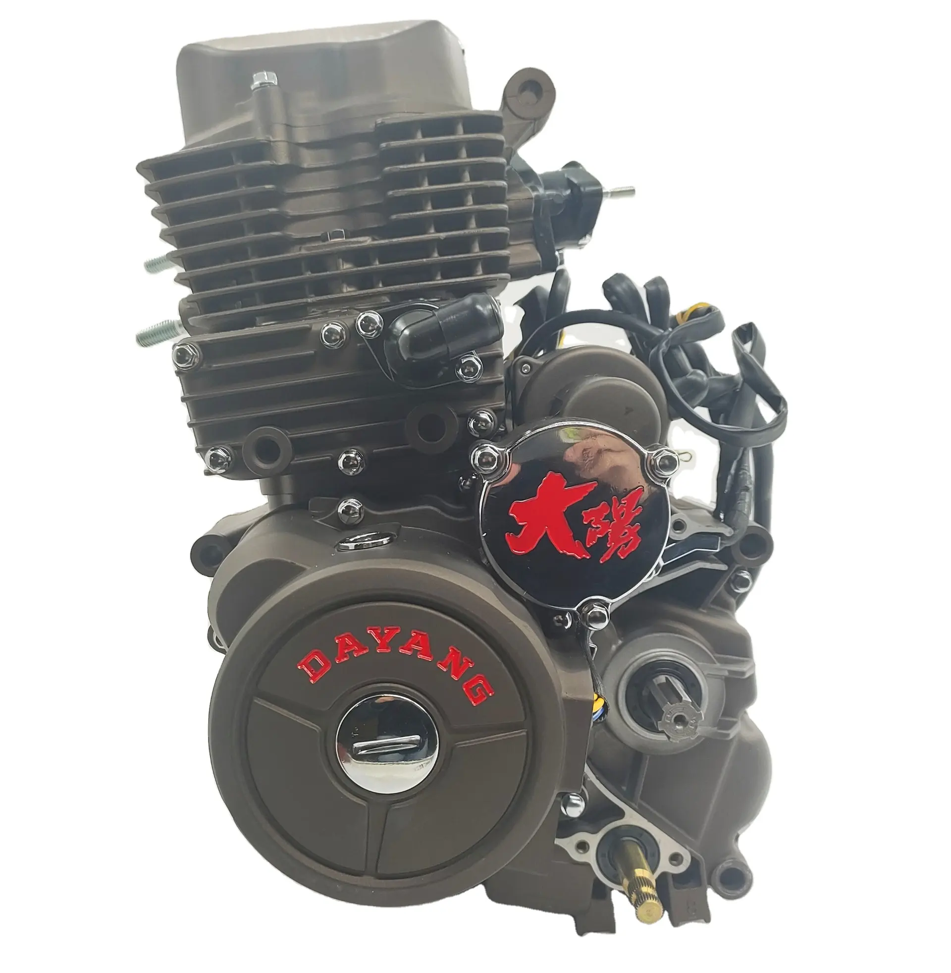 DAYANG 모터 공장 가솔린 세 바퀴 오토바이 부품 세발 자전거 엔진 CG175cc 물 펌프 엔진
