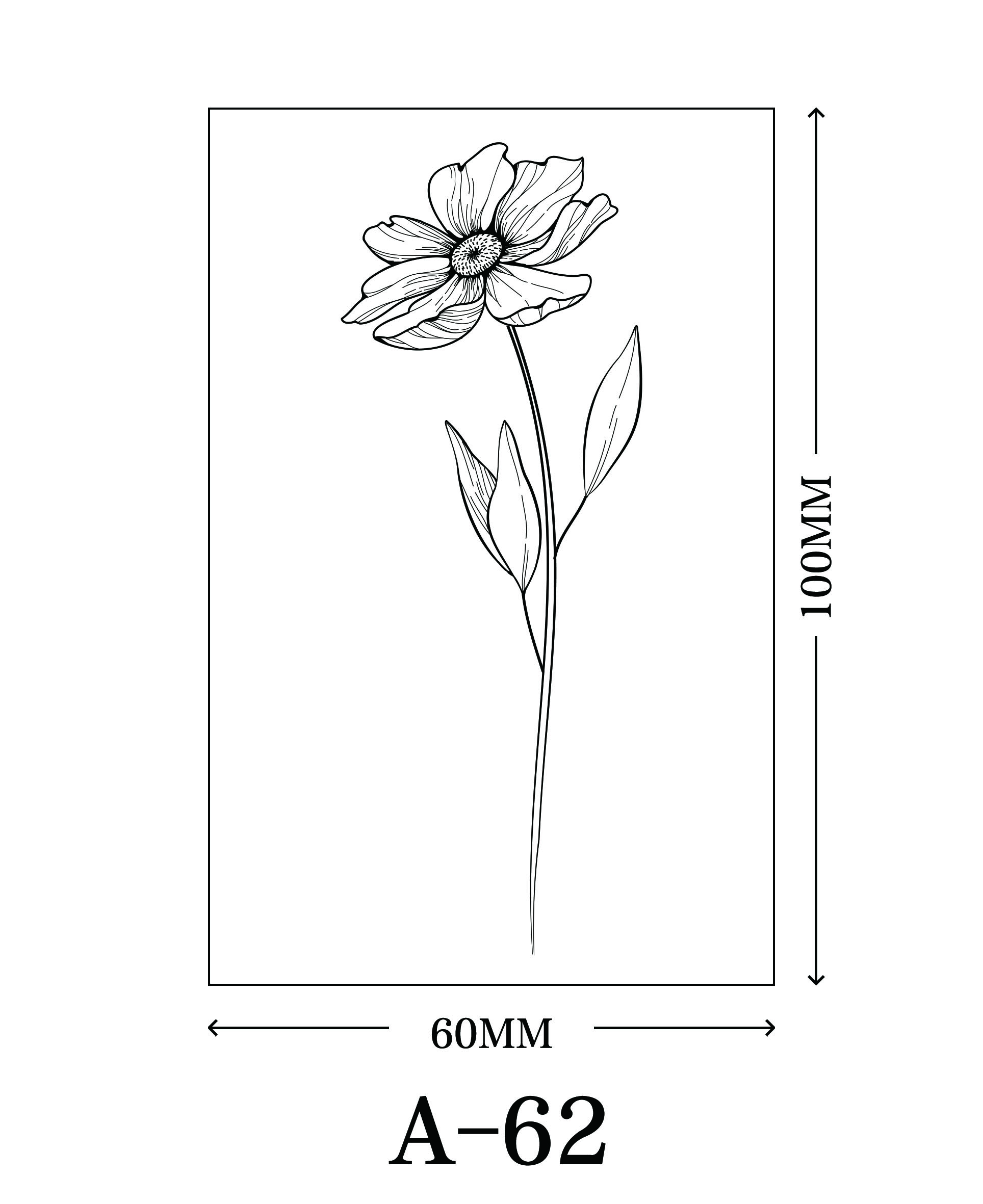 เอ-62
