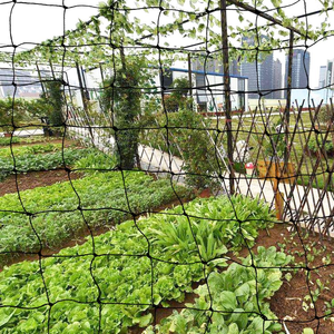 2cm Loch Schwarz HDPE Mesh Farm Obstgarten Gemüse Erdbeer Kirsche Traube Obstbaum Anti Vogel Netz Teich Zucht Zaun Netz - Product Image 5