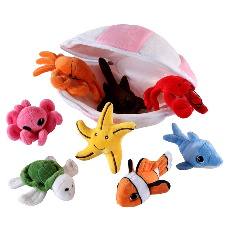 8pcs avec Shell Paquet