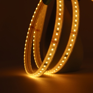 China Professional Factory 2835W 120LEDs Flexible Strip Light Addressable <strong>Programmable</strong> Soft Strip Light Waterproof Lighting - Product Image 2