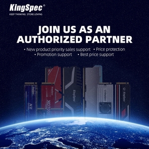 KingS pec 4GB RAM-Speicher modul leiste ddr3 1600MHz für Desktop-DIMM-Motherboard-Speicher