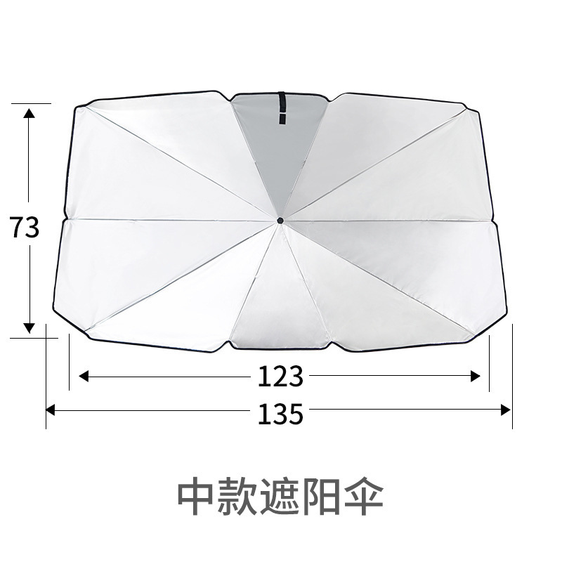Medium Silver Painted Parasol