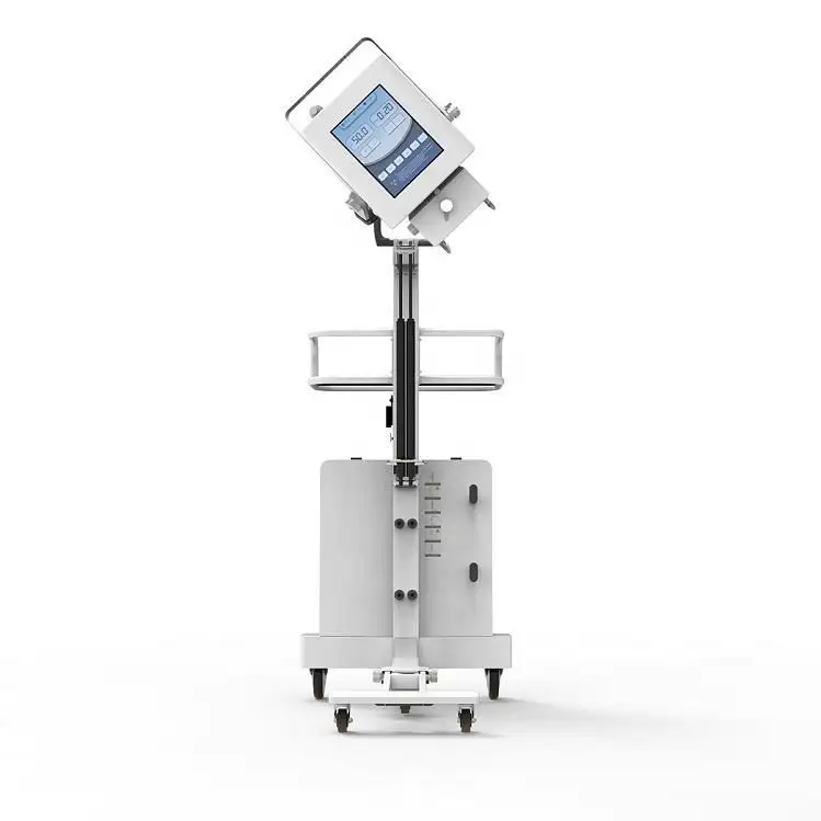 Goedkope Prijs 5KW Iray Merk Mobiele X-Ray Security Machine Draagbare Digitale X Ray Machine