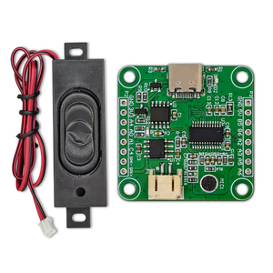 ASR-PRO akıllı konuşma tanıma kontrol modülü AI çevrimdışı tanıma geliştirme kurulu özel kelimeler - Product Image 2