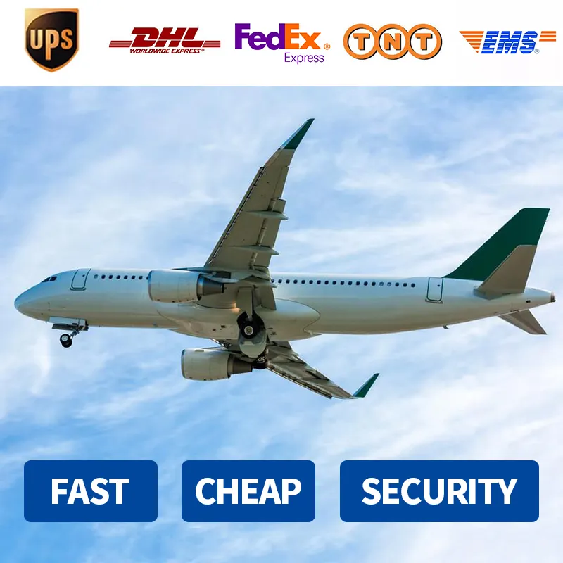 DHL Fedex TNT aumenta la spedizione espressa per il servizio di consegna a domicilio in Francia