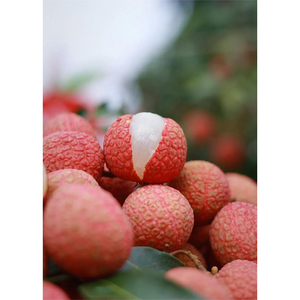 Premium Quality Chinese Fresh Lychee <strong>Export</strong> - Product Image 4