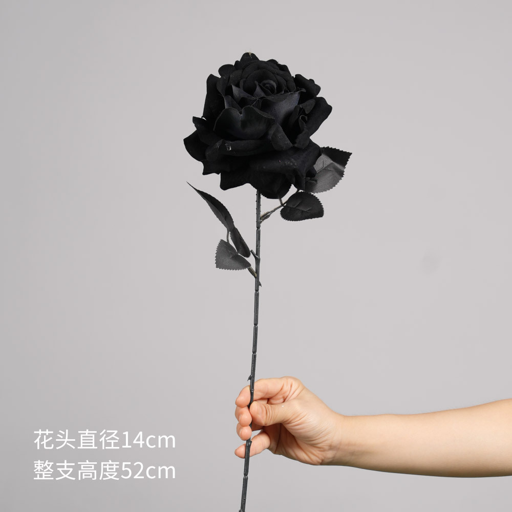 Rosa - Negro - Extra Grande