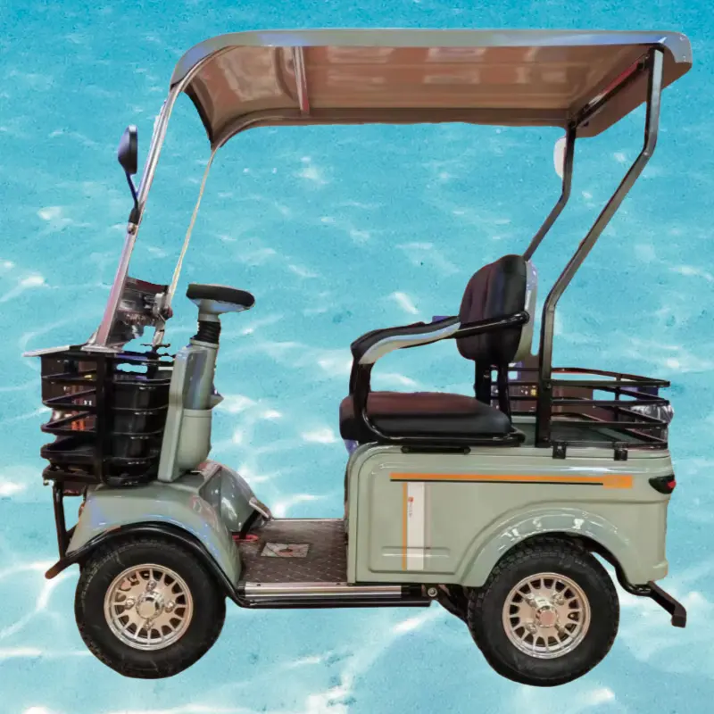 Прямые продажи с завода, четырехколесный Электрический рикша для отдыха двойного назначения для пассажирских грузов со стальной рамой, двигатель задней ступицы