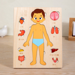 Simüle çocuk ahşap vücut Organ yapısı yap-boz yürümeye başlayan insan anatomisi kendini bilinci bilim bilgi oyunu oyuncak - Product Image 5