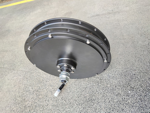 تسعة القارة 48V 1000W الجبهة Ebike تحويل عدد المحرك قرص الفرامل تكلم محور BLDC موتور كرسي متحرك دراجة ثلاثية العجلات