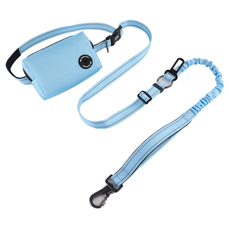 Bleu ciel clair (laisse de sac)