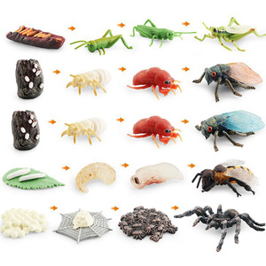 HY <strong>Toys</strong> Simulation Mini Insect Set Grasshopper Spider Growth Cycle Life Stage Cognitive Static Model <strong>Toy</strong> - Product Image 5