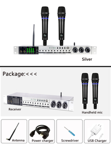 Chargeable Handheld <strong>Microphone</strong> BT <strong>Audio</strong> Processor DSP Digital Effects Sound Processor <strong>Audio</strong> with Wireless <strong>Microphone</strong> - Product Image 6