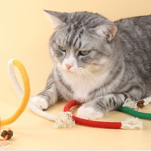 YHC24 Interactive Catnip Chew Toys Natural Catnip Silvervine Fruit Dientes Limpieza Juguete para gatos