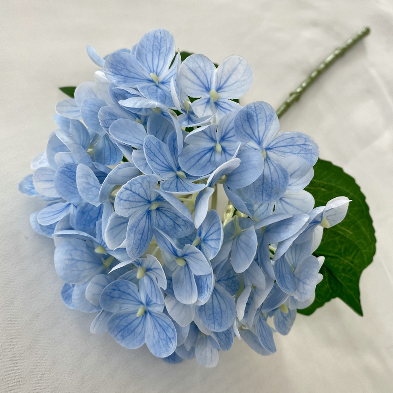 Azul claro