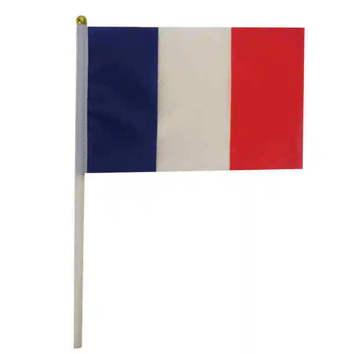 Vente en gros Offre Spéciale 14*21cm Drapeau français Polyester personnalisé tenant des drapeaux Acclamer le drapeau de célébration