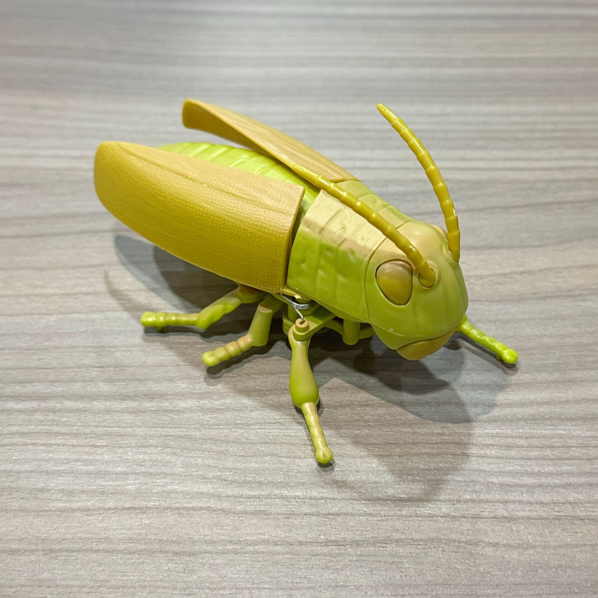 Chaîne de criquets - blanc amande