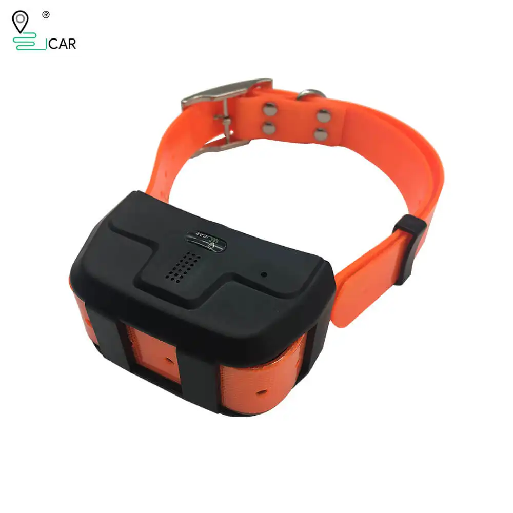 Wholesale price 4G Gps High Quality Dog gps Tracker Waterproof GPS Tracking device for Hunting Dogs