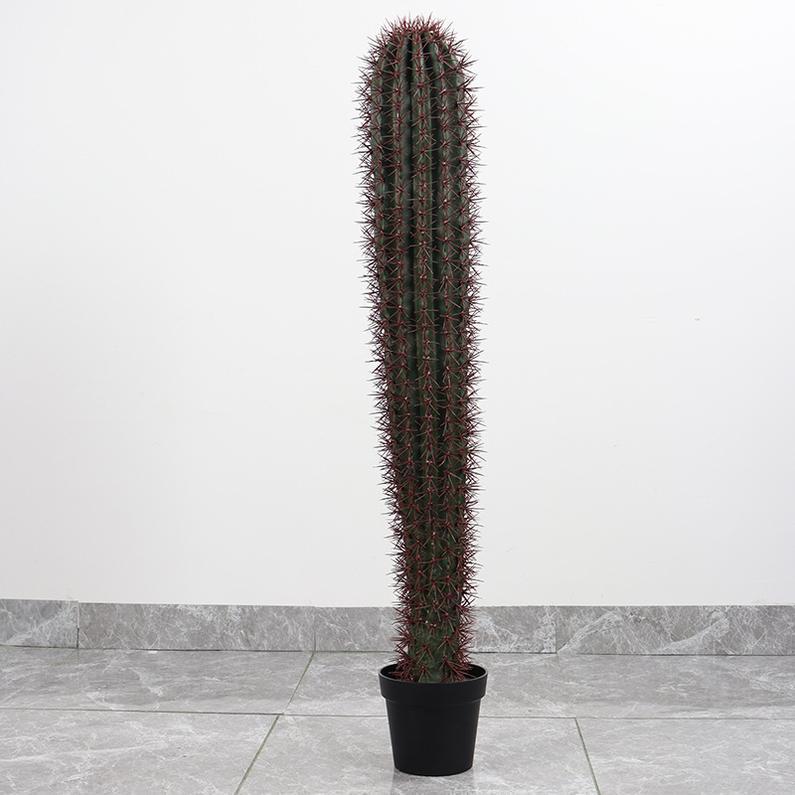 The giant pillar has red thorns of 1.3m