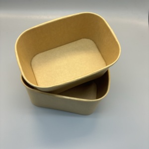200 <span class=keywords><strong>300</strong></span> ml長方形アイスクリームペーパー食品包装ボックス使い捨てテイクアウト食品容器スクエアふた付き紙ボウル