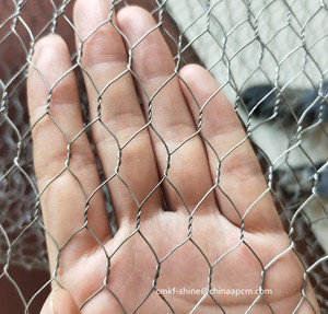 Rete metallica esagonale di resistenza galvanizzata ad alta resistenza per il rotolo della rete del pollo