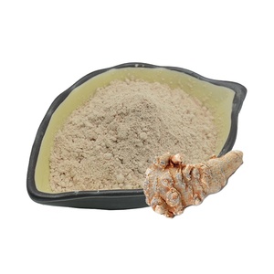 Üretim kaynağı 75% Radix Notoginseng P.E. Özü tozu ile zengin Ginsenoside Rb1 Rg1 R1 gelen Panax notoginseng(Burk.) F.H. - Product Image 1