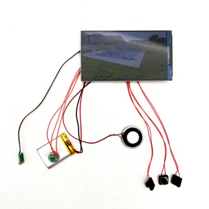 Индивидуальный 5-дюймовый модуль Tft Lcd 16:9 дисплей Tft Модуль для видео брошюры карты - Product Image 2