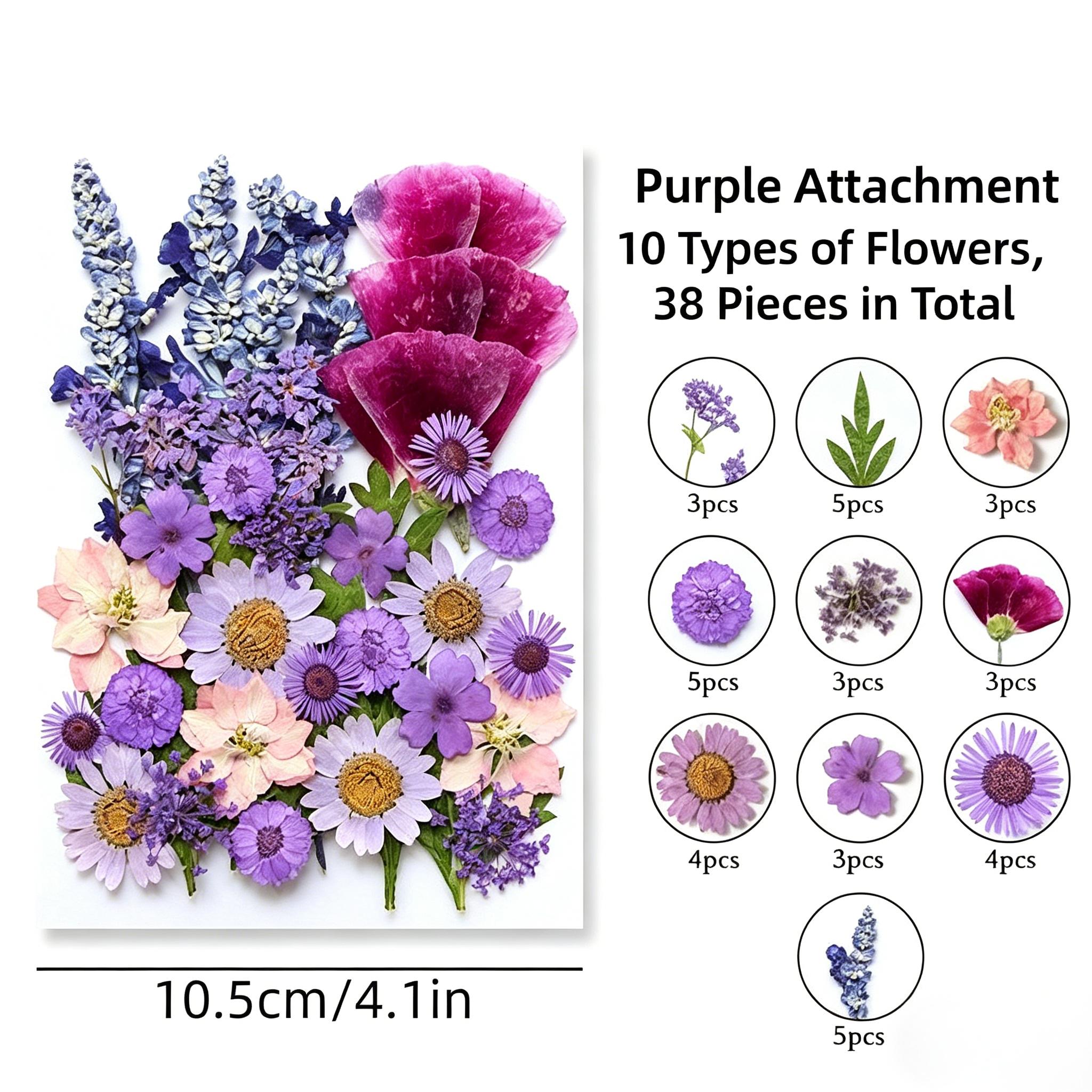 38 ชิ้น/ถุง, สีม่วงและสีชมพู
