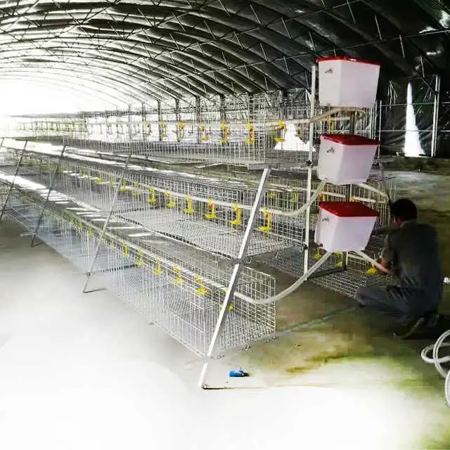 Poultry farm A type 3/4 layer cages egg chicken automatic chicken cages chicken layer cage