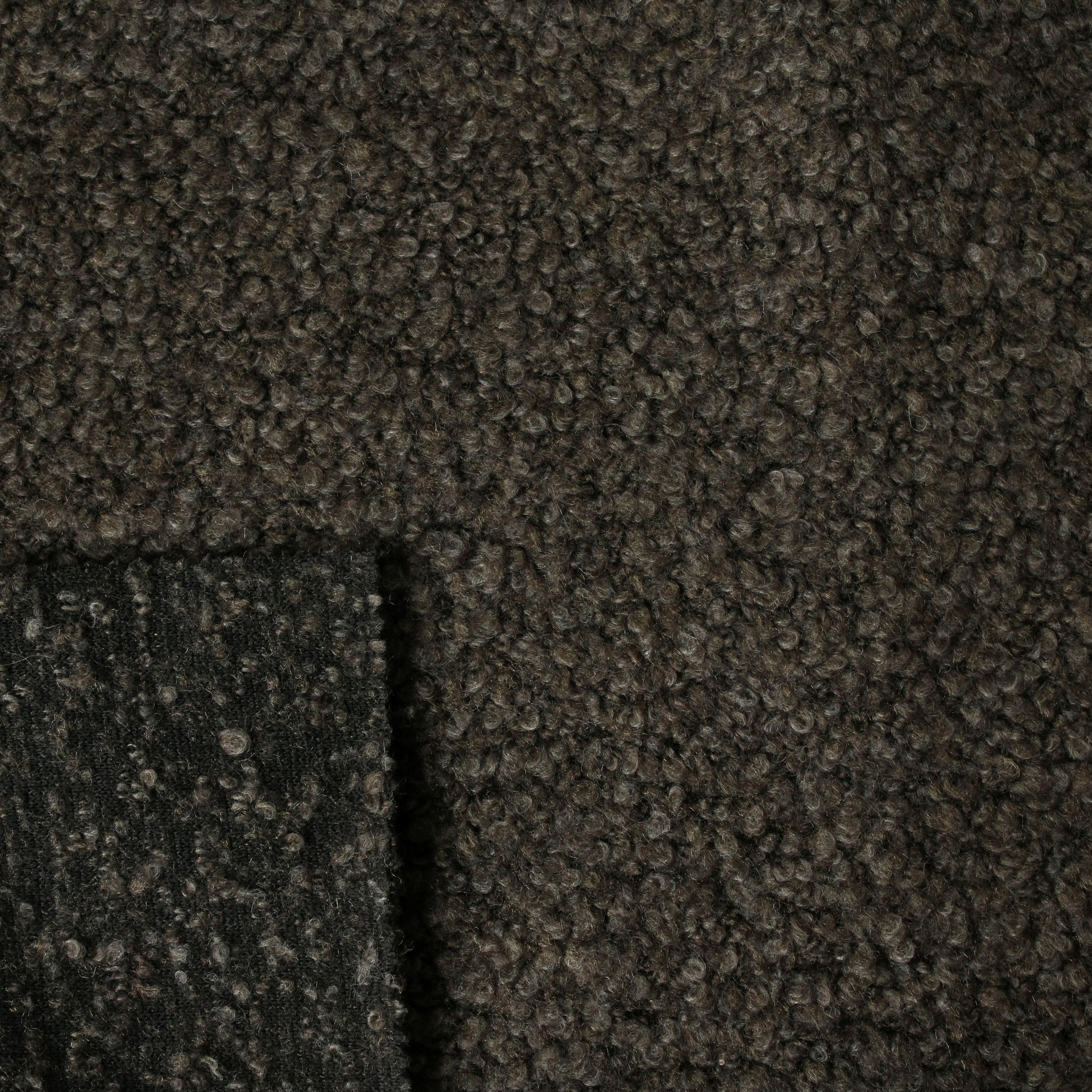 Kaki