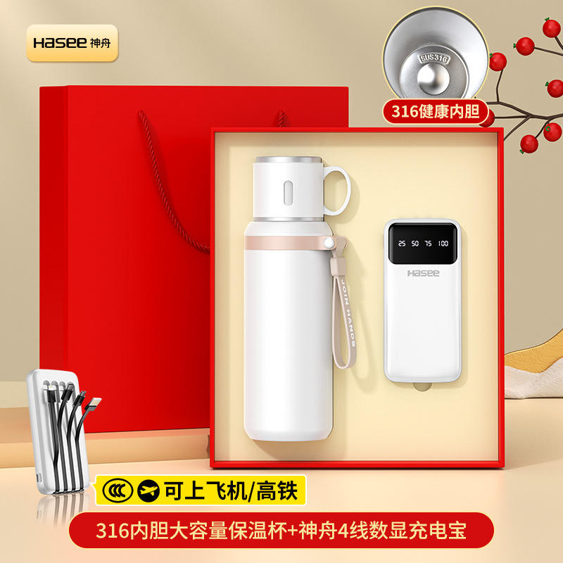 P6 Cup Shenzhou Power Bank 4 fils T2 Boîte rouge