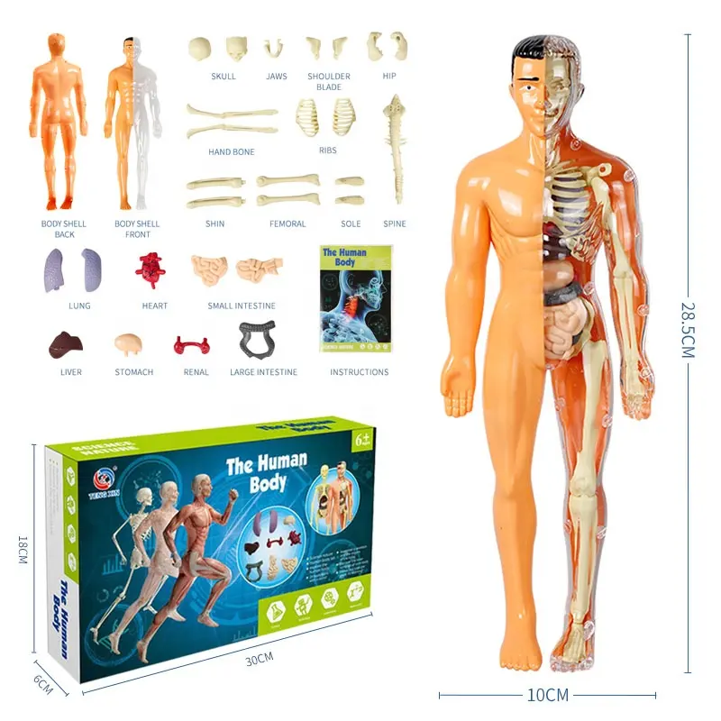human assembly wholesale educational intelligent DIY science experiment kit