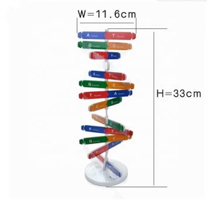DNA Models Double Helix Science Popularization Teaching Toy DIY Human <strong>Genes</strong> Aids Science Special Tools for Kids Test Kit - Product Image 4