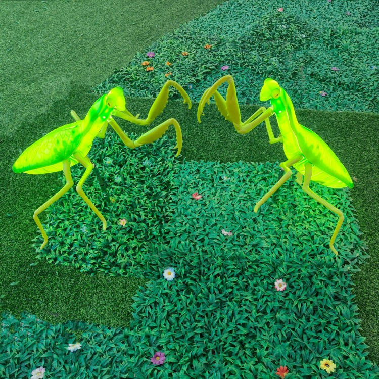 mantis