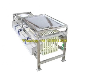 Selezionatrice del grado della palma della data 600kg/selezionatrice rotonda della frutta/prezzo della macchina di classificazione del pomodoro della ciliegia - Product Image 2