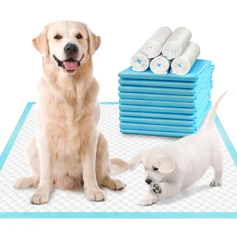 럭셔리 6 레이어 슈퍼 흡수성 방수 미끄럼 방지 재사용 화장실 빨 훈련 개 애완 동물 오줌 패드